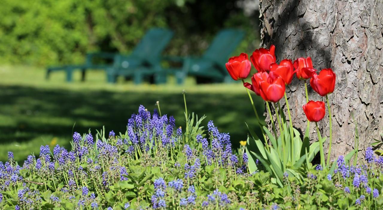 Chalmoux Le Bonnet De Nuit Bed & Breakfast エクステリア 写真